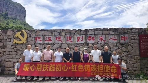 红旗仪表党支部赴上山村开展主题实践活动